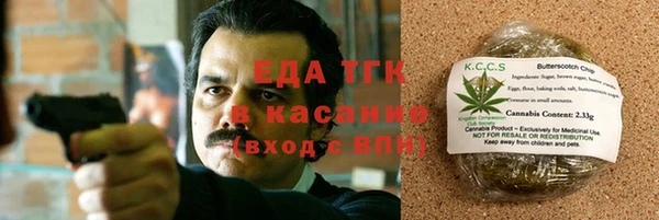 сатива Каменка