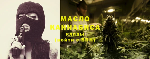 сатива Каменка
