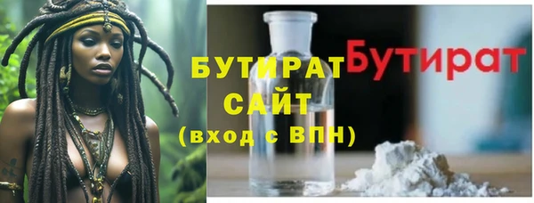 сатива Каменка