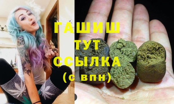 сатива Каменка