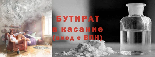 сатива Каменка