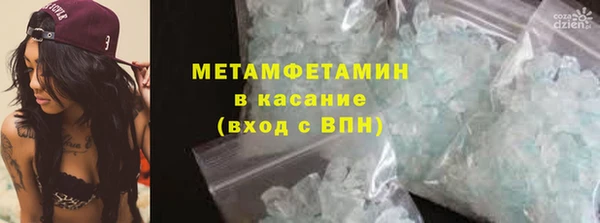 сатива Каменка