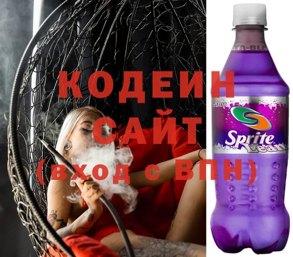 сатива Каменка