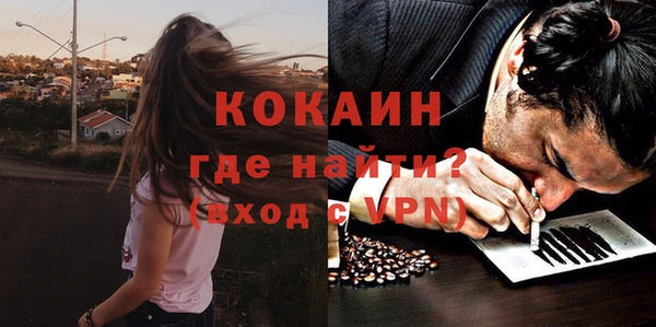 сатива Каменка