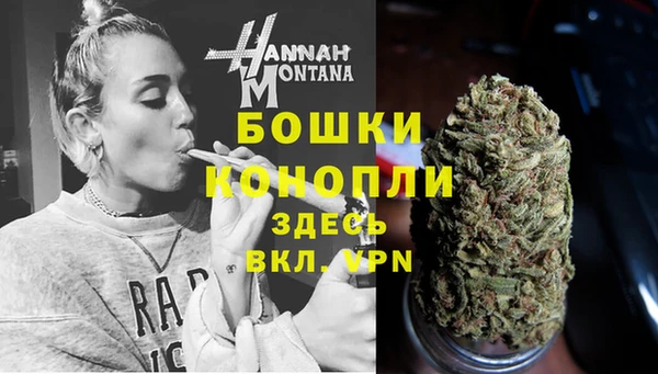 сатива Каменка