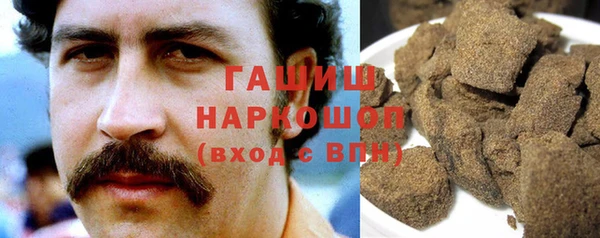 сатива Каменка