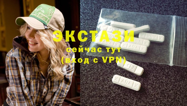 сатива Каменка
